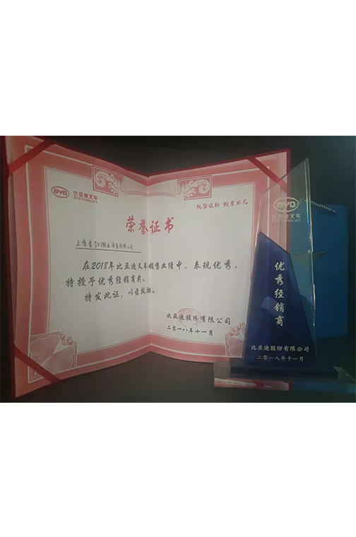 启东市比亚迪2018优秀经销商